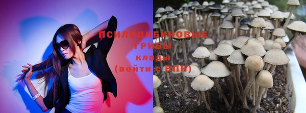 прущий лед Белоозёрский