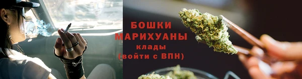 Альфа ПВП Белокуриха