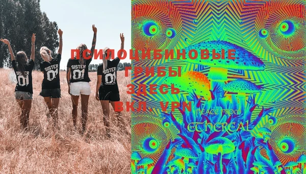 Альфа ПВП Белокуриха