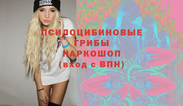 Альфа ПВП Белокуриха