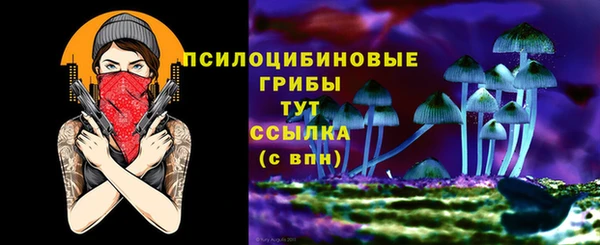 прущий лед Белоозёрский