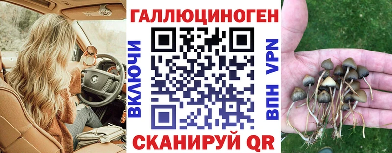 Псилоцибиновые грибы GOLDEN TEACHER  Острогожск 