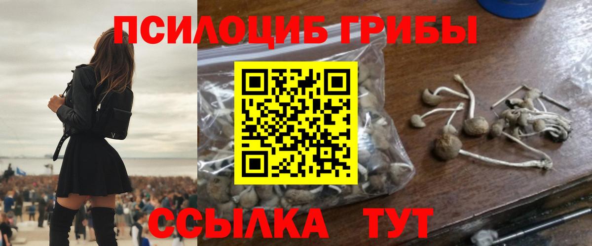 МЕФ кристаллы  Мефедрон  Острогожск  Вход с VPN  ГАШИШ  Канабис 